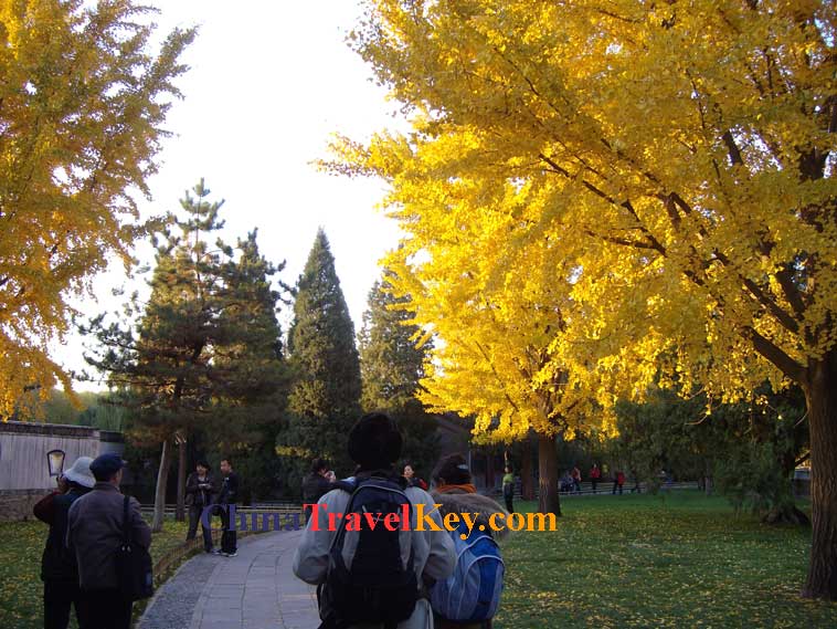Photo of Summer Palace 