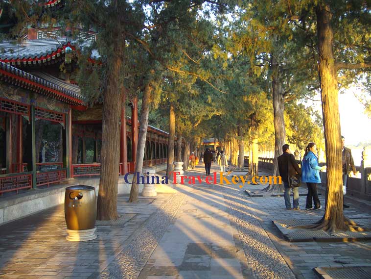 Photo of Summer Palace 