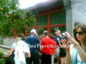 Beijing Hutong Tour 