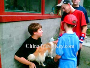 Beijing Hutong Tour 