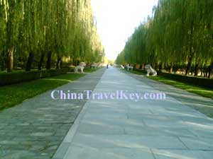 Sacred Way 
