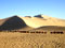 Photo of Echoing-Sand Mountain Crescent Lake