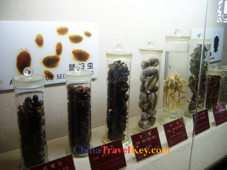 photo of hangzhou huqingyu chinese medicine museum