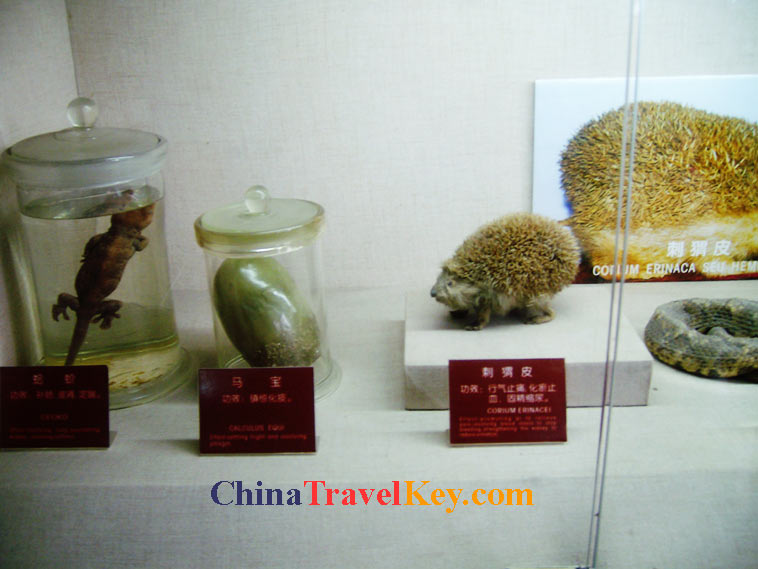 photo of hangzhou huqingyu chinese medicine museum