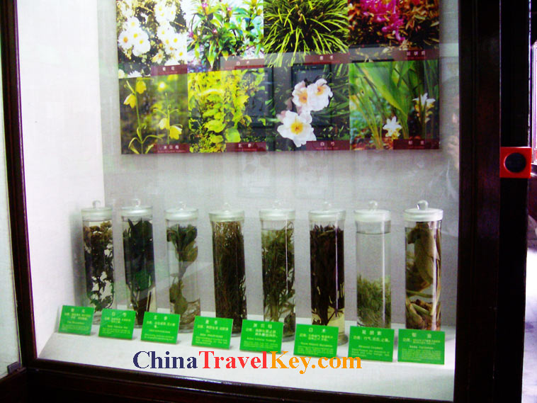 photo of hangzhou huqingyu chinese medicine museum