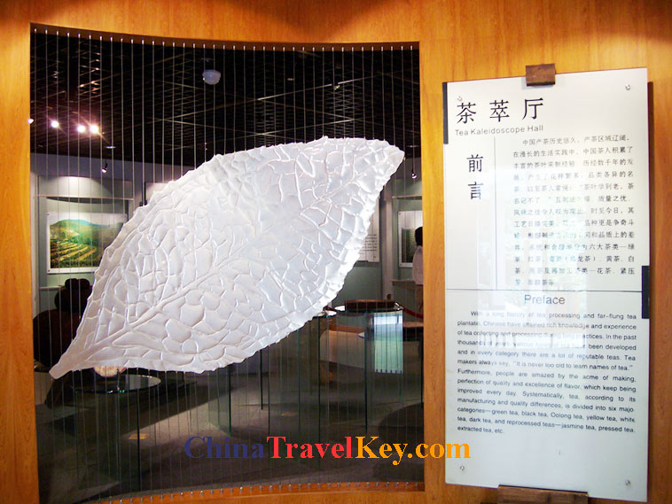 photo of hangzhou tea museum