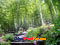photo of hangzhou tiger running spring