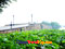 photo of hangzhou west lake