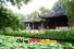 Humble Administrator's Garden