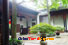 Lion Grove Garden