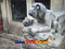 photo of taiyuan courtyard wang family