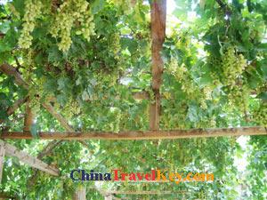photo of Turpan Grape Valley