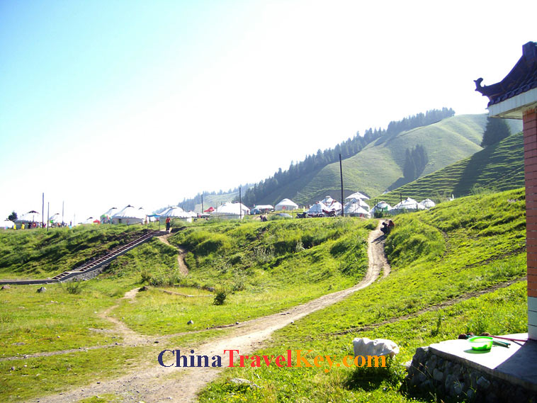 photo of urumchi south pasture