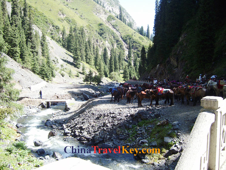 photo of urumchi south pasture