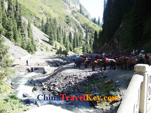 photo of urumchi southern pasture