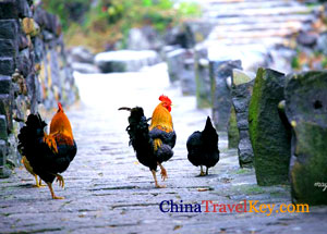 Wenzhou