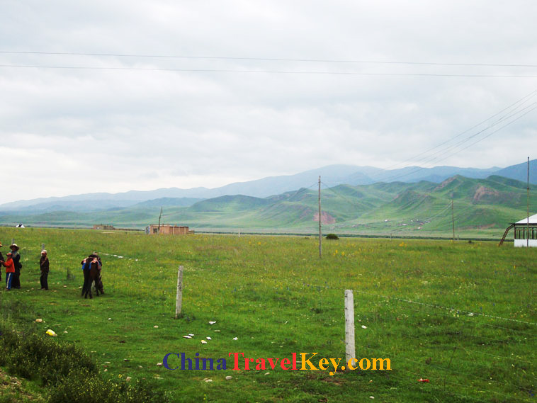 photo of xiahe sangke grassland
