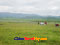 photo of xiahe sangke grassland
