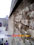photo of city wall