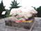 photo of maoling tomb