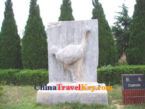 photo of qianling museum