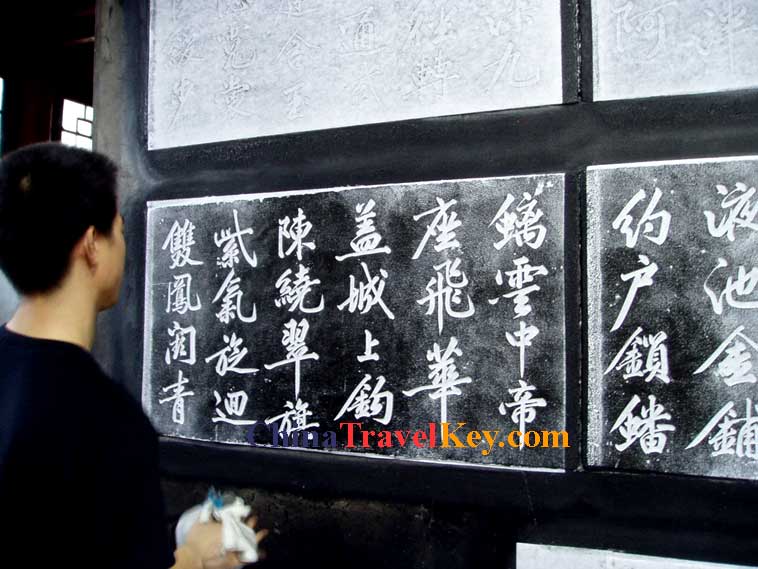 Stele Forest Photo(13th photo) 