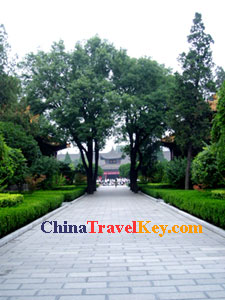 photo of Xian Forest of Stone Steles Museum