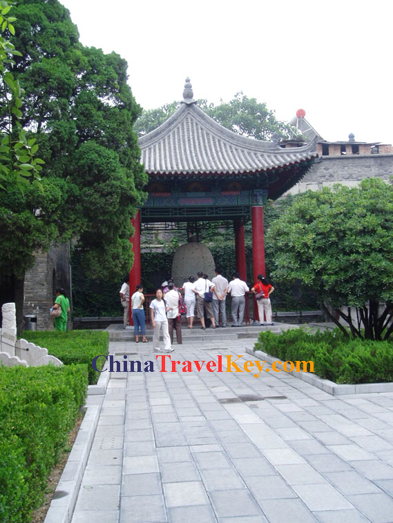Stele Forest Photo(5th photo) 