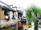 photo of xitang tour photo