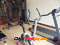 photo of oriental king ship gymnasium