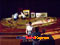 photo of oriental king ship performance onboard
