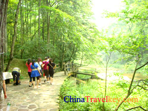 Zhangjiajie